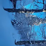 Chalé Dunja Chalet, *