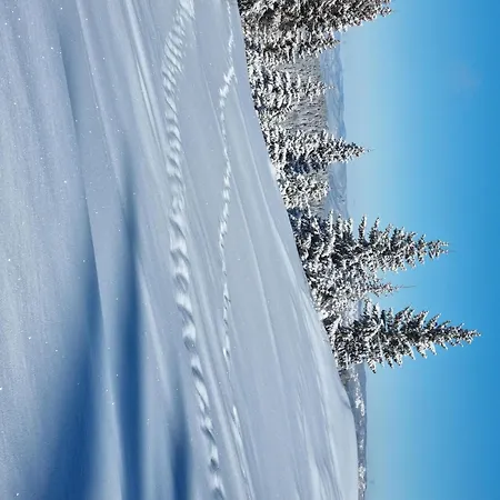 Dunja Chalet, Chalet Jahorina