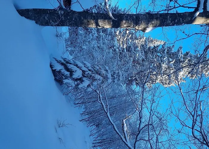 木屋 Dunja Chalet, *