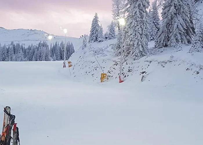 Dunja Chalet, * 亚霍里纳