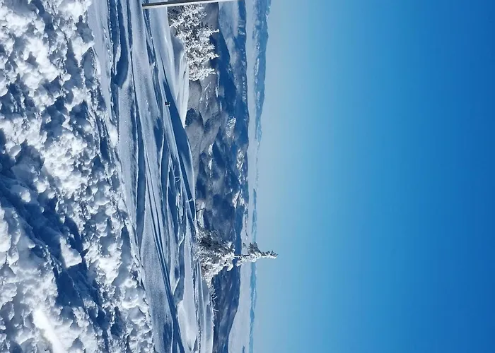 Dunja Chalet, 木屋