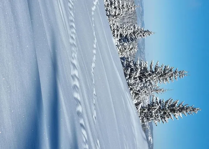 Dunja Chalet, 木屋 亚霍里纳